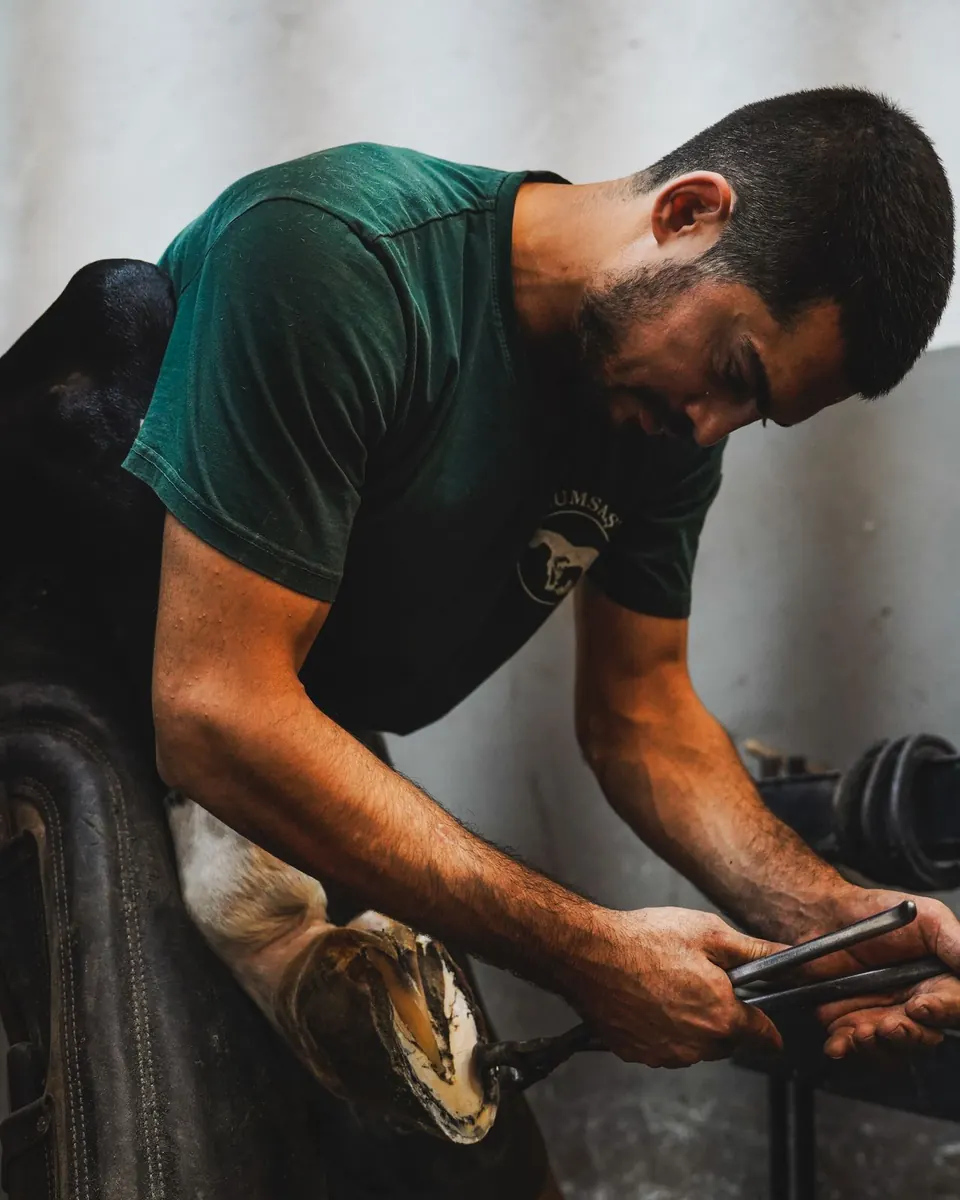 A farrier bent over a raised hoof, working with pincers