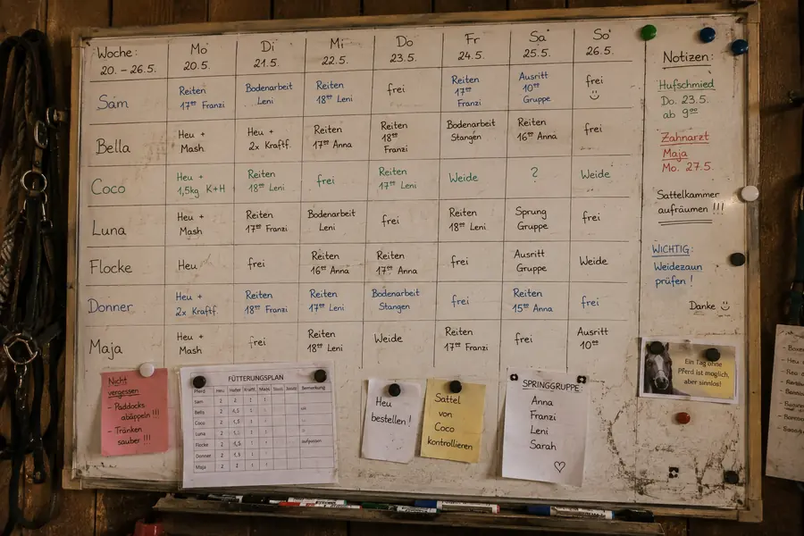 Whiteboard in a stable with a weekly plan per horse, a feeding chart and pinned notes